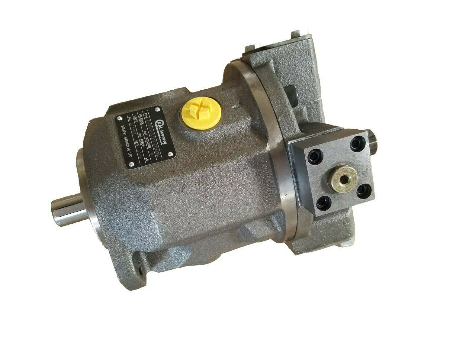 Rexroth Pump A10VSO18DFR/31R